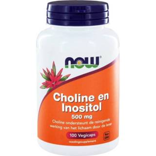 👉 Vitamine gezondheid voedingssupplementen NOW Choline En Inositol Capsules 100st
