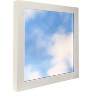 👉 Ewindow panel 60x60cm wolken daglichtsysteem zonlicht
