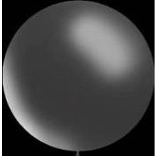 👉 Transparant Decoratieballonnen 30 cm 8719409074520