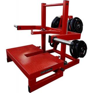 👉 Riem FP Equipment Belt Squat Machine 8DX