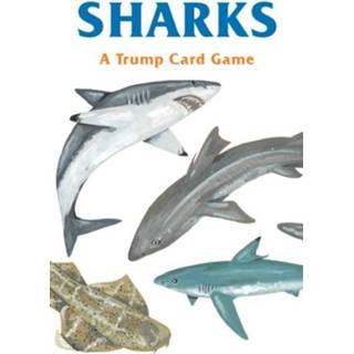 Boek Sharks - BIS Publishers BV (1786271990) 9781786271990