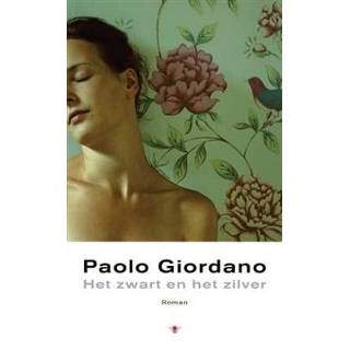 👉 Boek zwart zilver Het en - Paolo Giordano (9023487192) 9789023487197