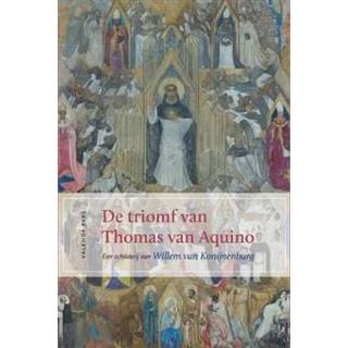 👉 Boek De triomf van Thomas Aquino - Kees Dooren (905625474X) 9789056254742