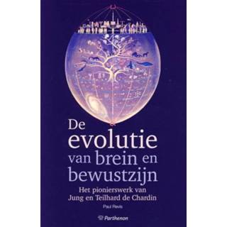 👉 Boek Paul Revis De evolutie van brein en bewustzijn - (9079578096) 9789079578092