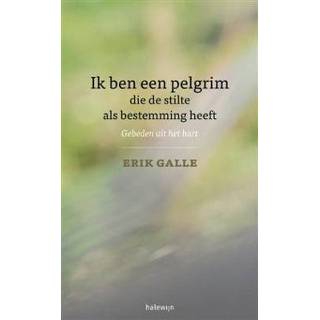 👉 Boek Ik ben een pelgrim die de stilte als bestemming heeft - Erik Galle (9085283531) 9789085283539
