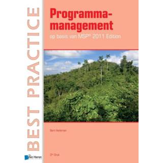 👉 Boek Programmamanagement / 2011 - Bert Hedeman (9087536917) 9789087536916