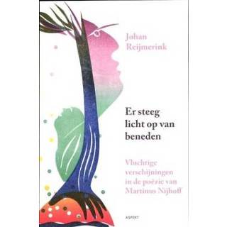 👉 Boek Er steeg licht op van beneden - Johan Reijmerink (9461531079) 9789461531070