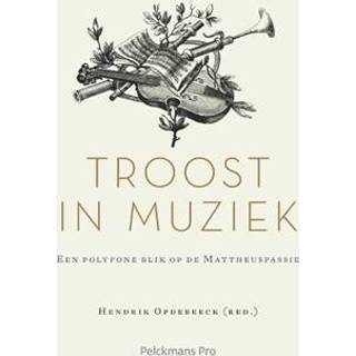 👉 Boek Troost in muziek - Hendrik Opdebeeck (9463370560) 9789463370561