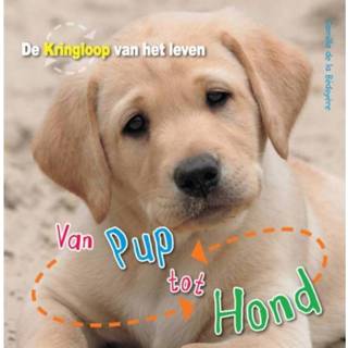 👉 Boek plant Van pup tot hond - Camilla de la Bedoyere (946175017X) 9789461750174