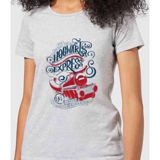 👉 Harry Potter Hogwarts Express Women's T-Shirt - Grey - 5XL - Grijs