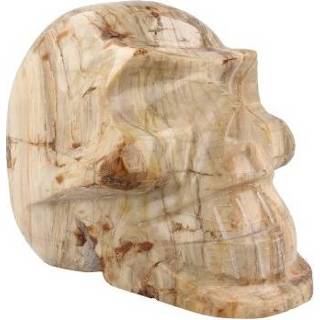 👉 Hout active Edelstenen Schedel Fossiel (Model 3)