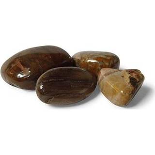 👉 Trommel steen hout active Trommelstenen Versteend (20-40 mm) 8718226697899