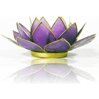 👉 Sfeerlicht lila active Lotus 8719172836448