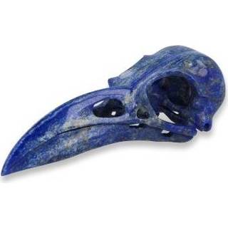 👉 Active Raven Schedel Lapis Lazuli 8718561049339