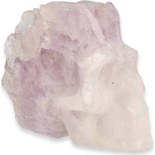 👉 Active Edelstenen Schedel Bergkristal - Amethist (Model 3)