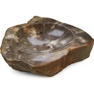 👉 Asbak houten active Fossiel Versteend 8718561032980