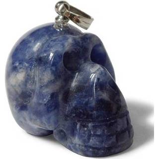 Hanger active Schedel Sodaliet 8718561009616