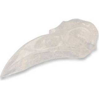 👉 Active Edelstenen Raven Schedel Bergkristal 8718561049315