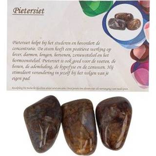 👉 Trommelsteen active Trommelstenen van Pietersiet (50 gram met Informatiekaart) 8718561039330