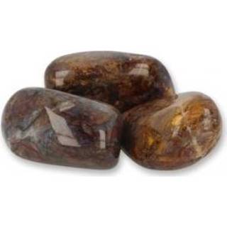 👉 Trommel steen active Trommelstenen van Pietersiet (100 gram) 8718561057648