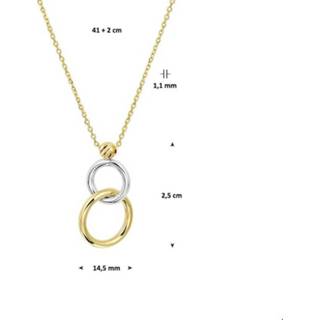 👉 Hals ketting bicolor goud vrouwen glanzend active goudkleurig TFT Collier Rondjes 1,1 mm 41 + 2 cm 8718834579075