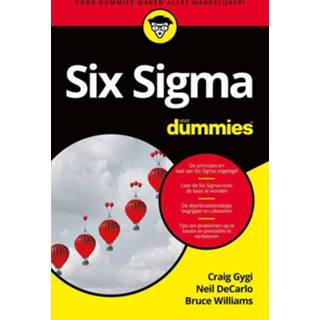 👉 Six Sigma voor Dummies 9789045356143