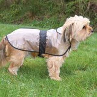 Beschermkraag voor honden, ECO Beschermkraag voor honden, ECO